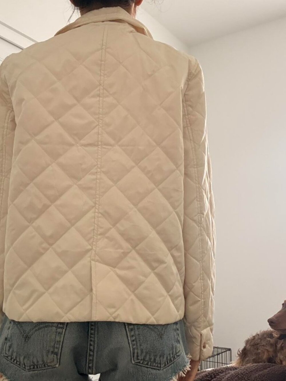 Cream Quilted Riding Puffer Jacket - Picture 2 of 3
